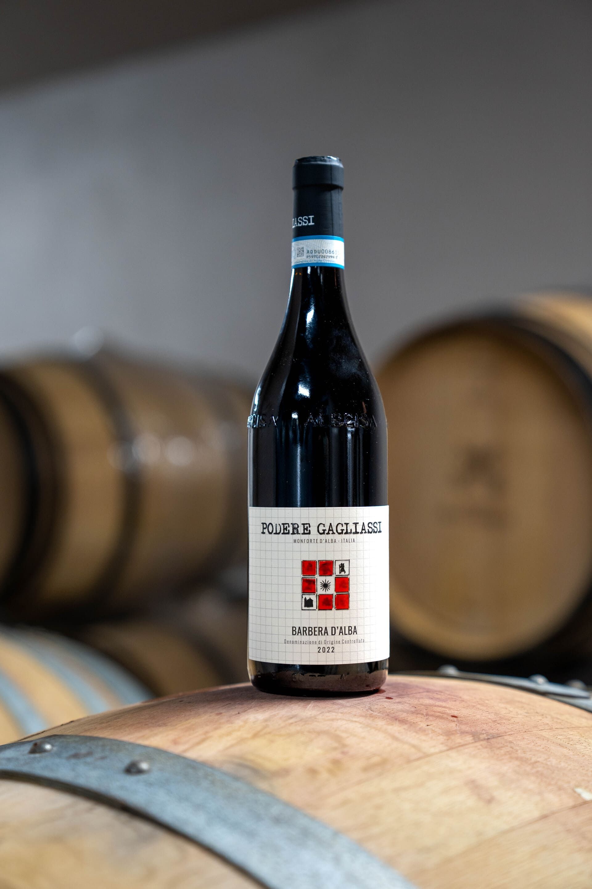 Discover Barbera d'Alba and Superiore: differences in style, aging, and structure in wines from the 
