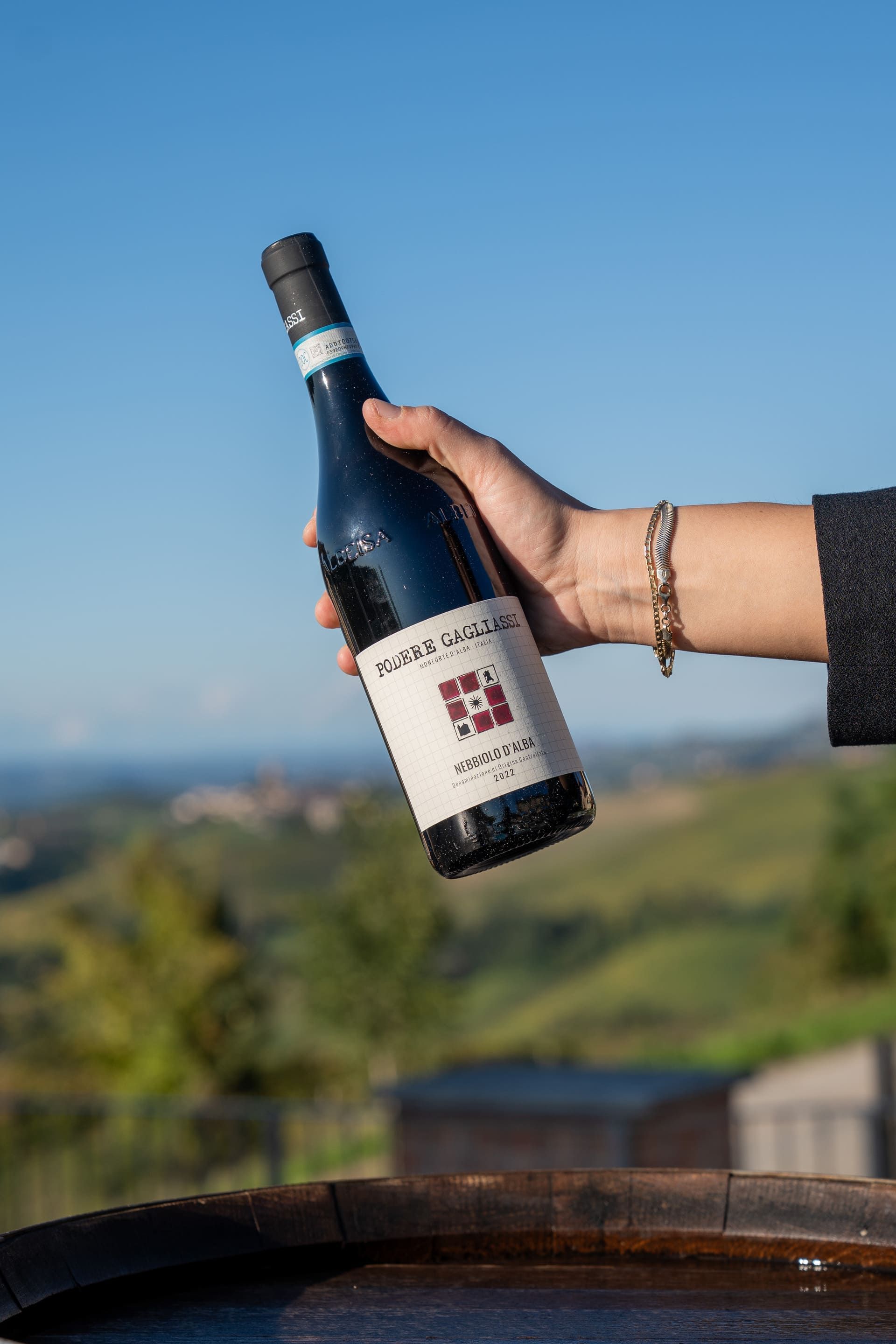 Nebbiolo d'Alba and Langhe Nebbiolo compared: two different expressions of the grape variety