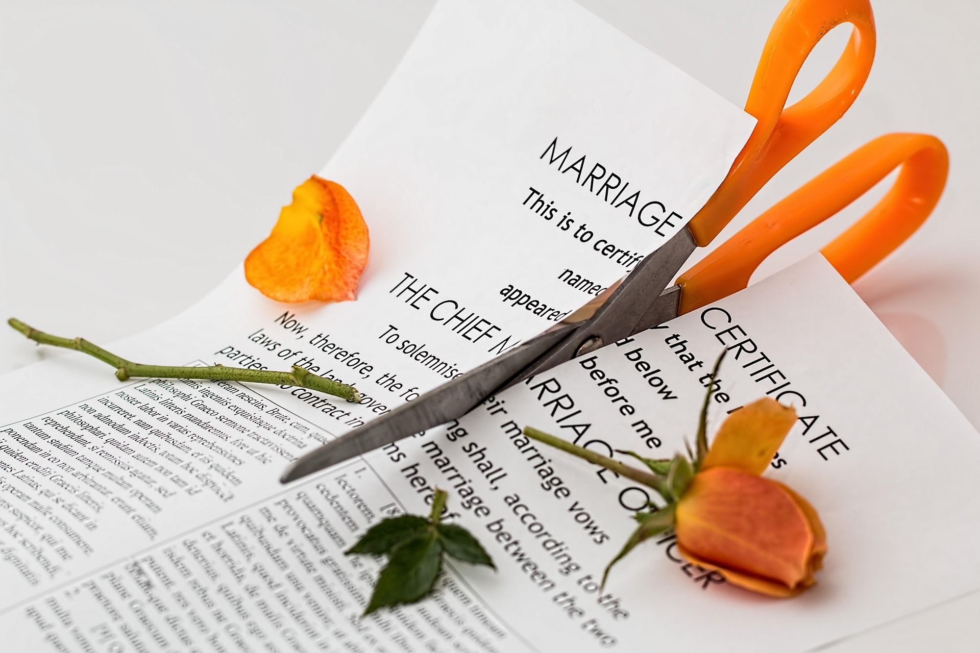 Orange-handled scissors cutting a marriage certificate with orange rose petals on the paper