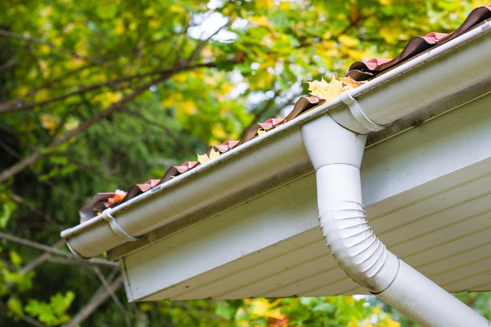A White Gutter on the Roof of a House With Leaves on It — Gutterworx in Wamberal, NSW