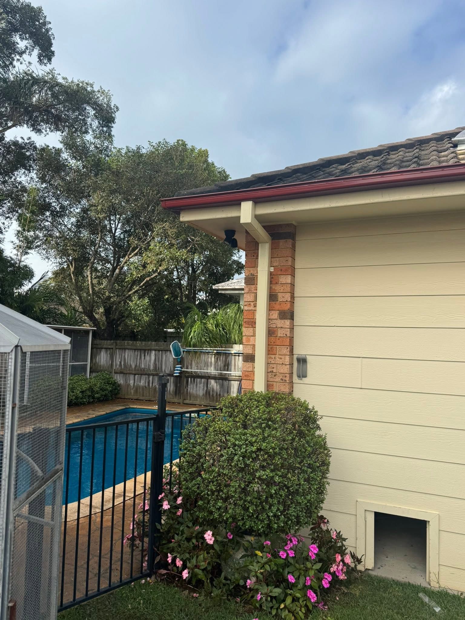 Backyard with a blue pool beside a cream house, fence, trees, and pink flowers — Gutterworx in Wamberal, NSW