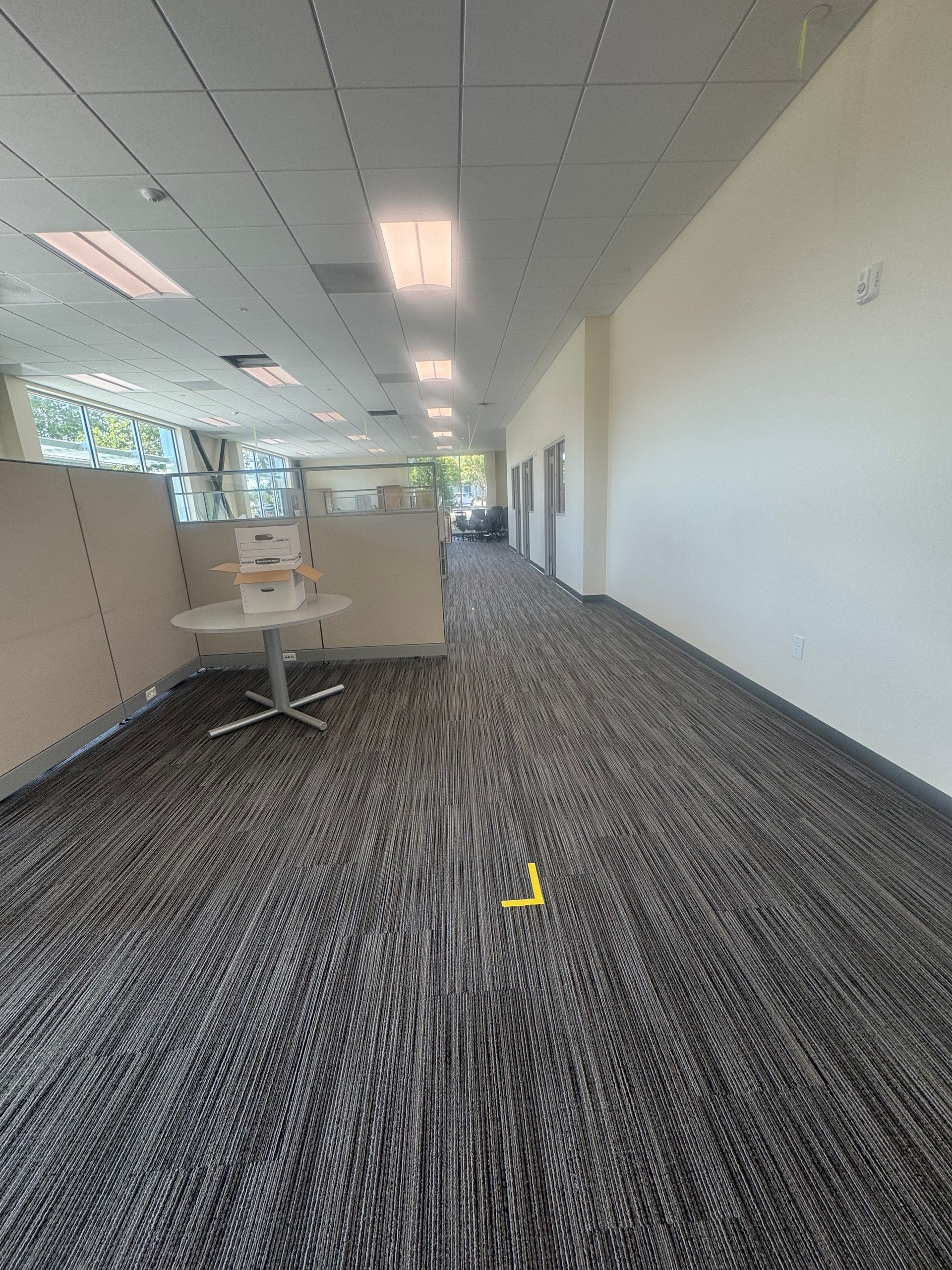 Hallway with patterned carpet, cubicles on the left, white wall on the right, fluorescent lights.