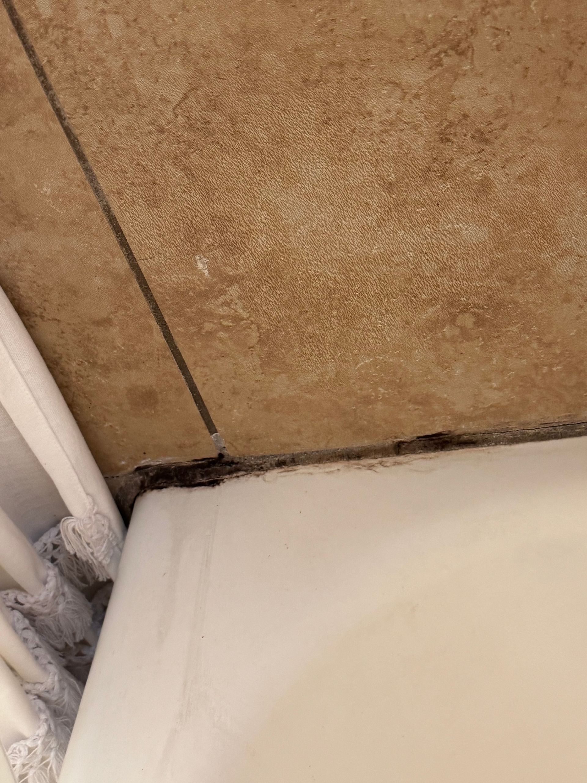 Black mold along the edge of a bathtub where it meets the tile wall, near a shower curtain.