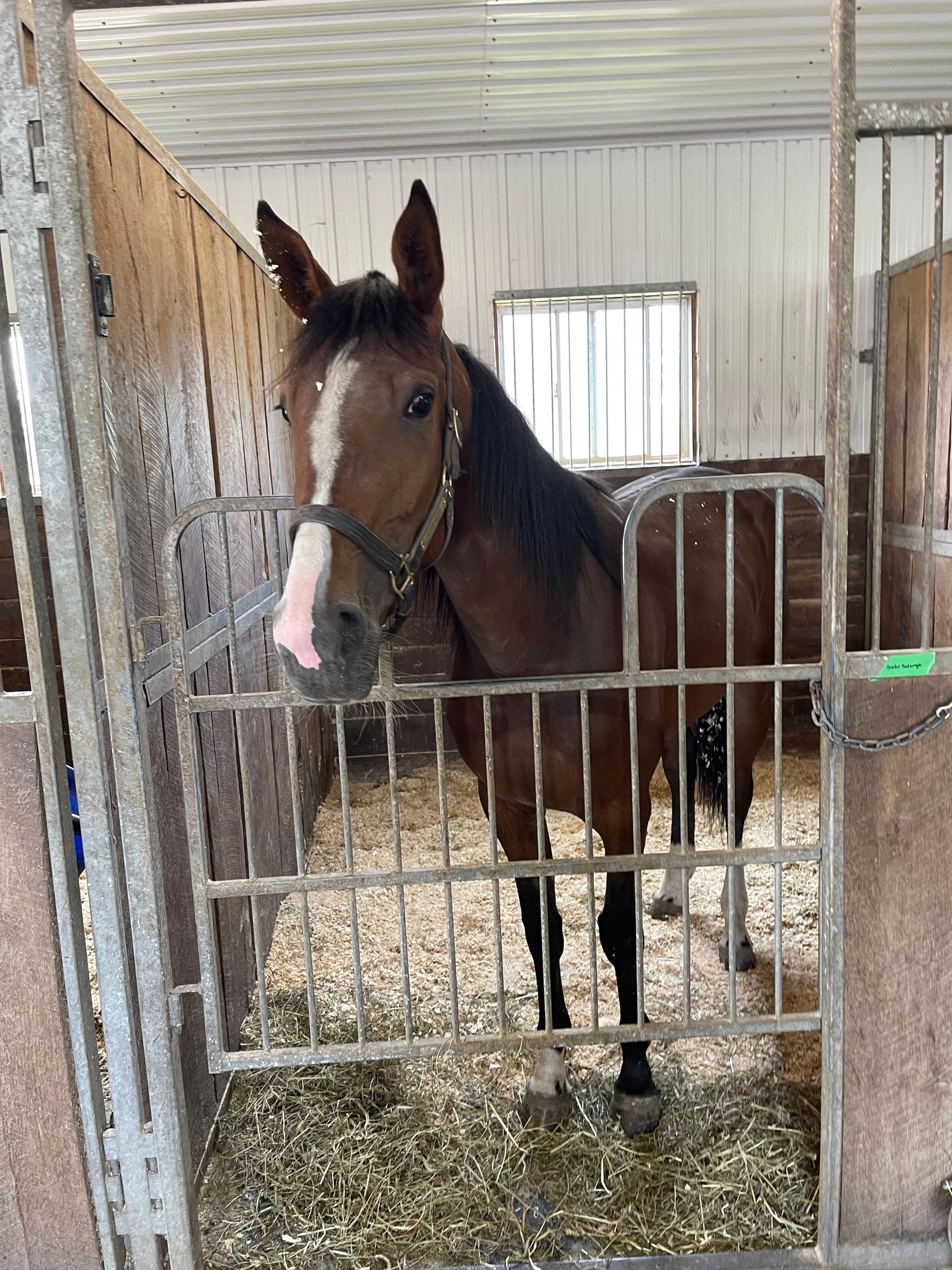 trix model trains for sale