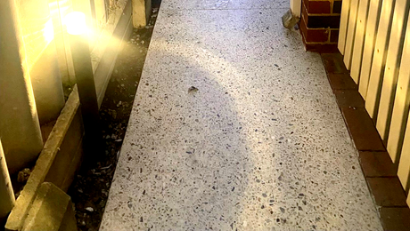 polished concrete down the side of a house polished concrete down the side of a house