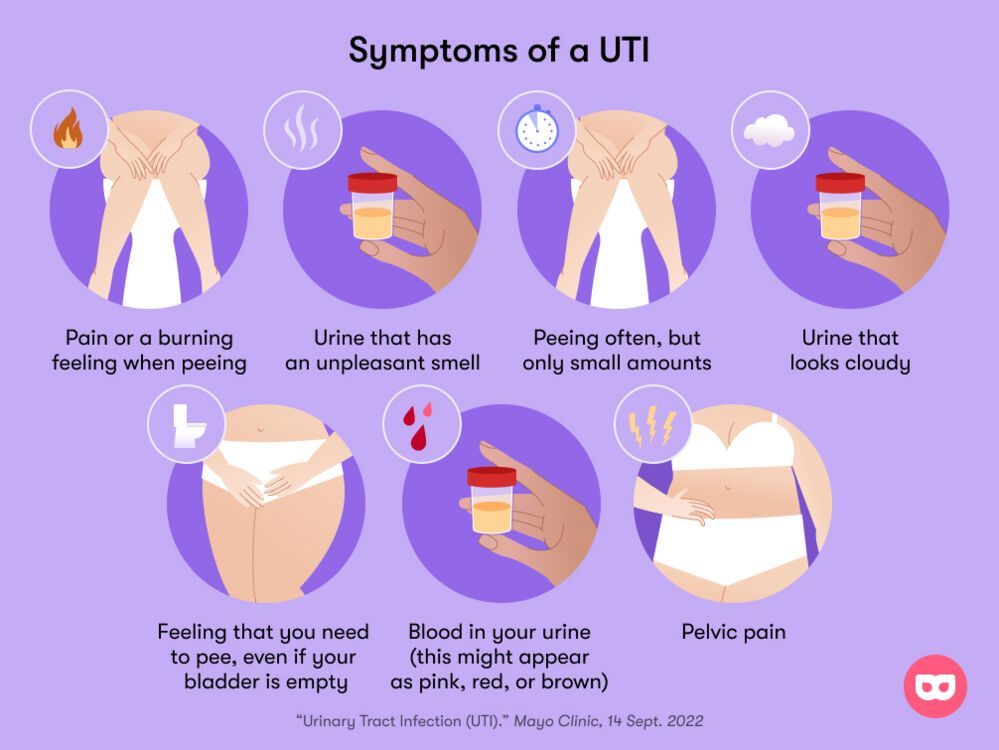 A diagram of the symptoms of a uti.