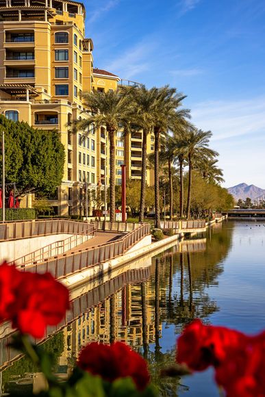 Waterfront buildings and palm trees reflect in canal water, red flowers in foreground, blue sky.
