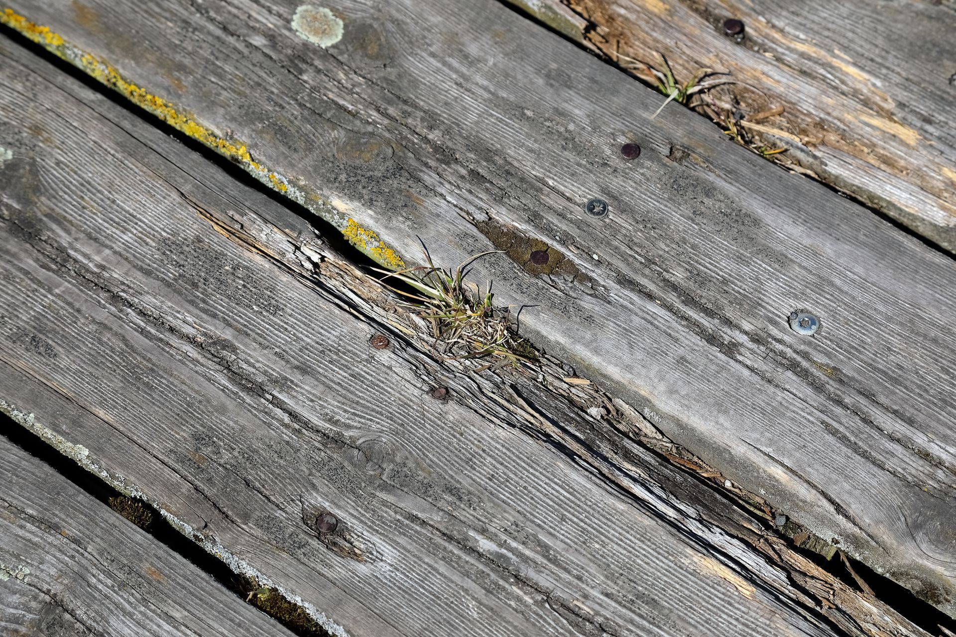 deck rotting