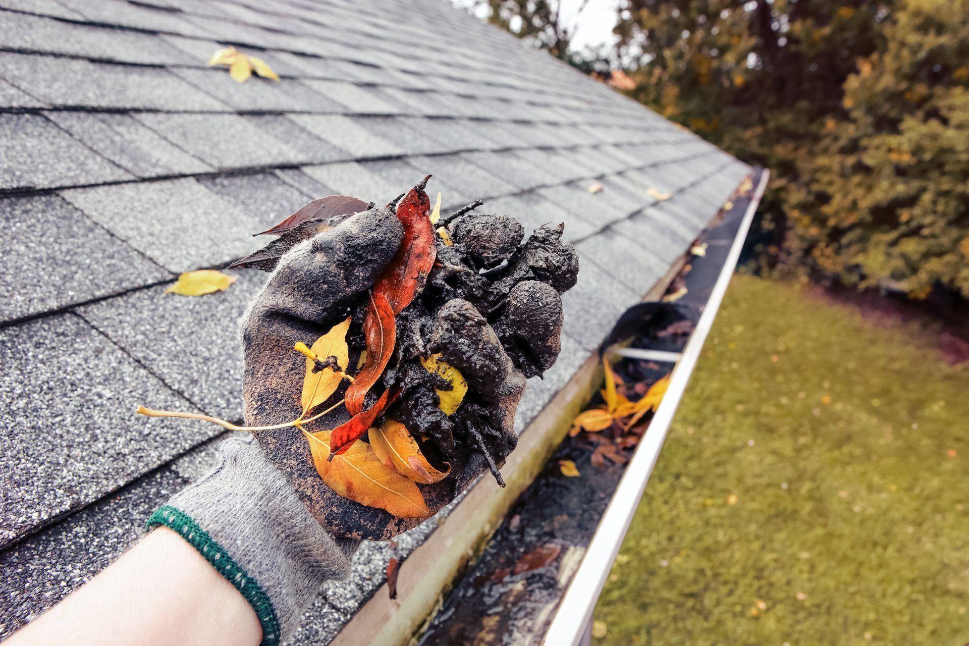 gutter maintenance
