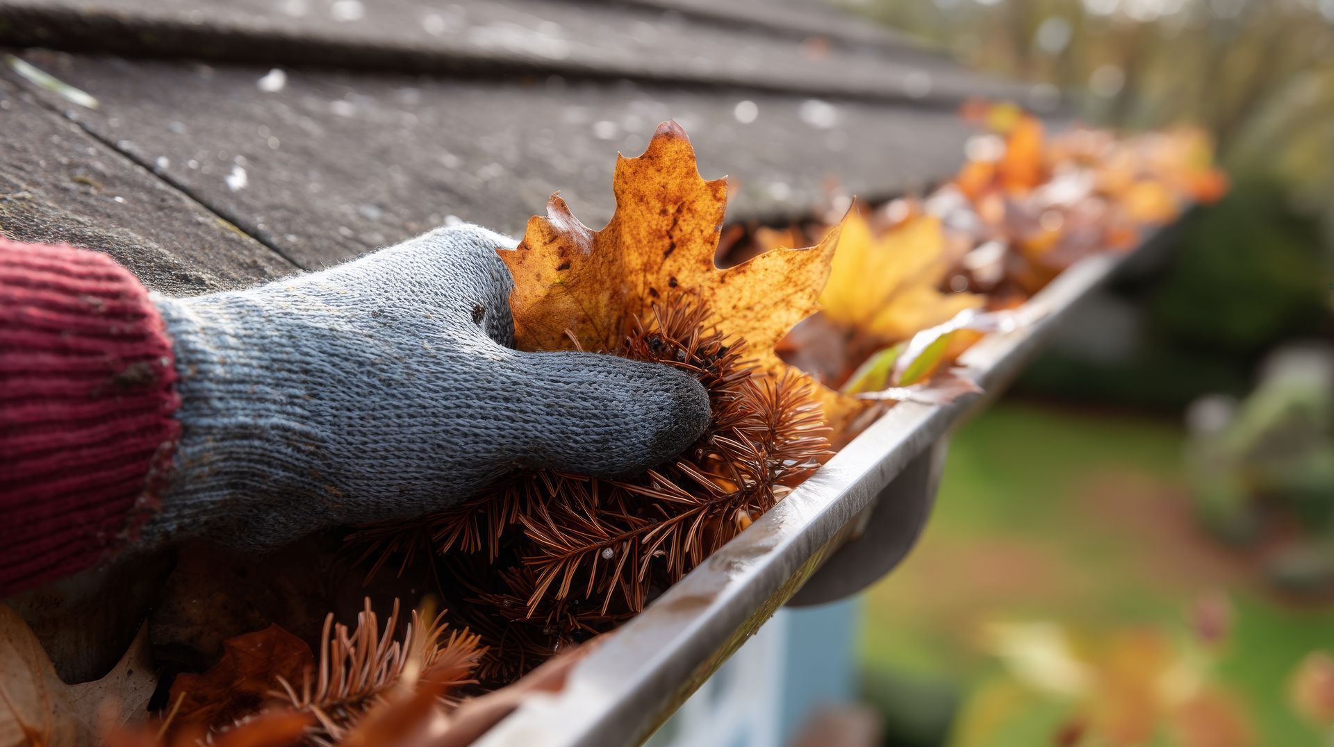 pine needle buildup on the homes in the PNW