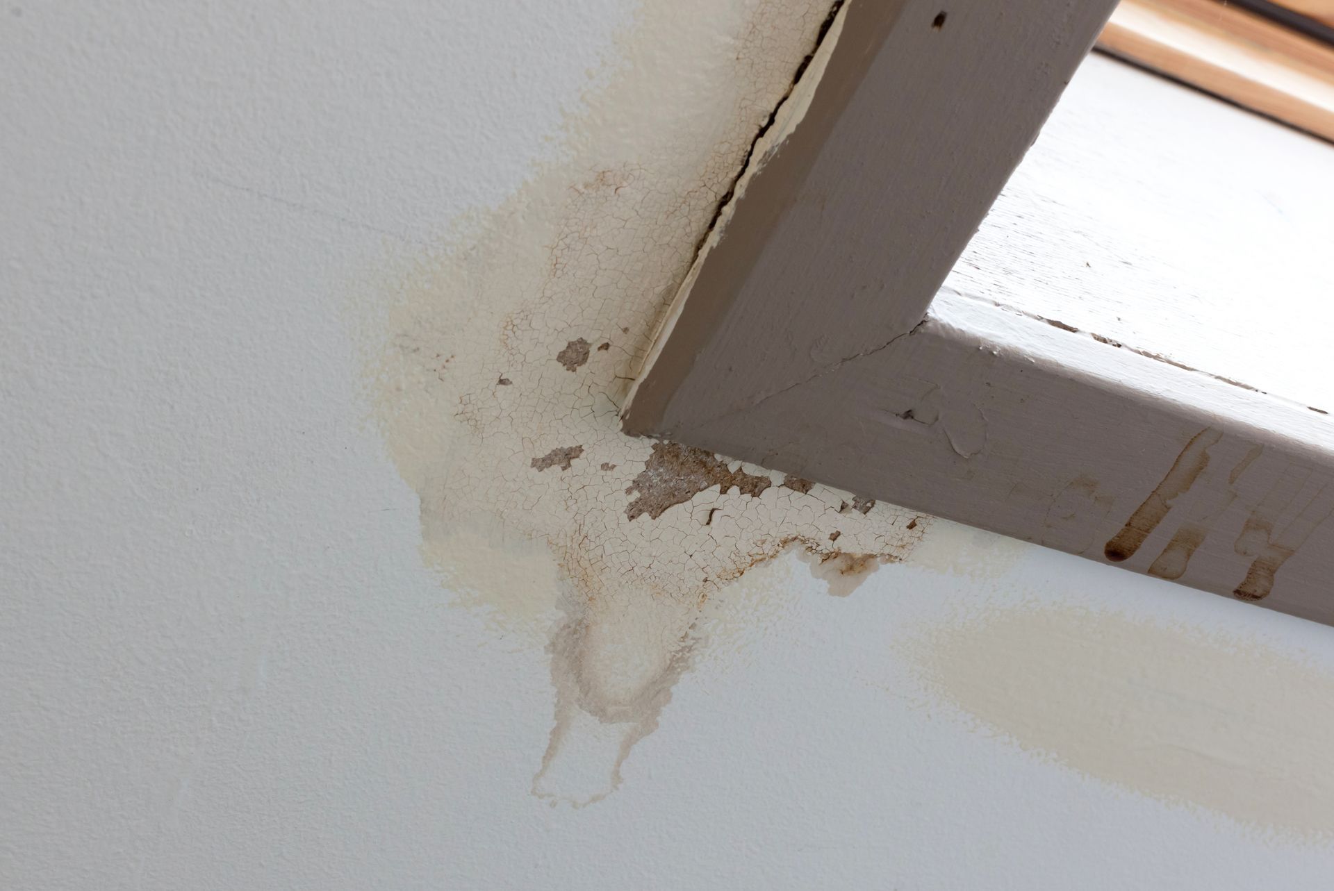 damp roofs leading to damage