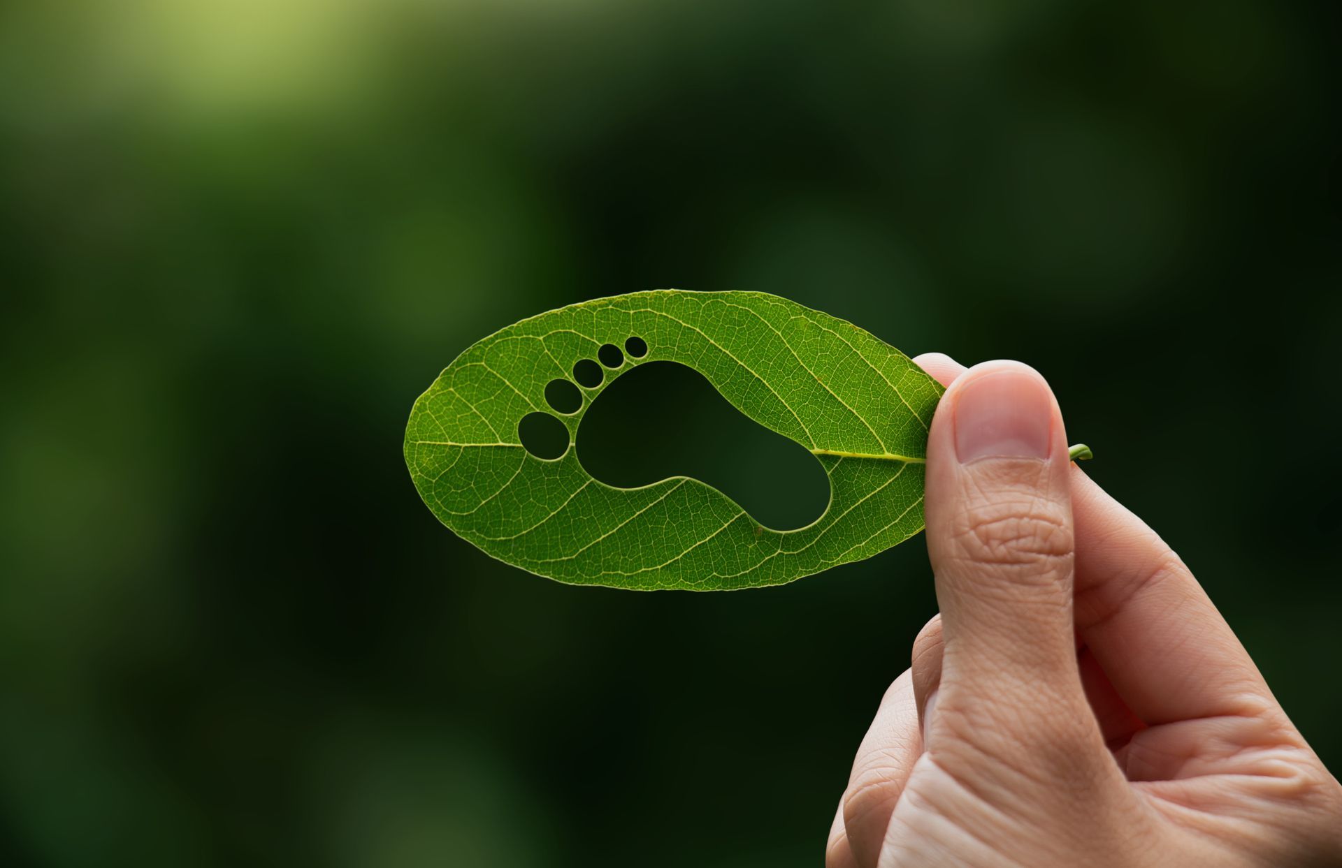 carbon footprint in Seattle 