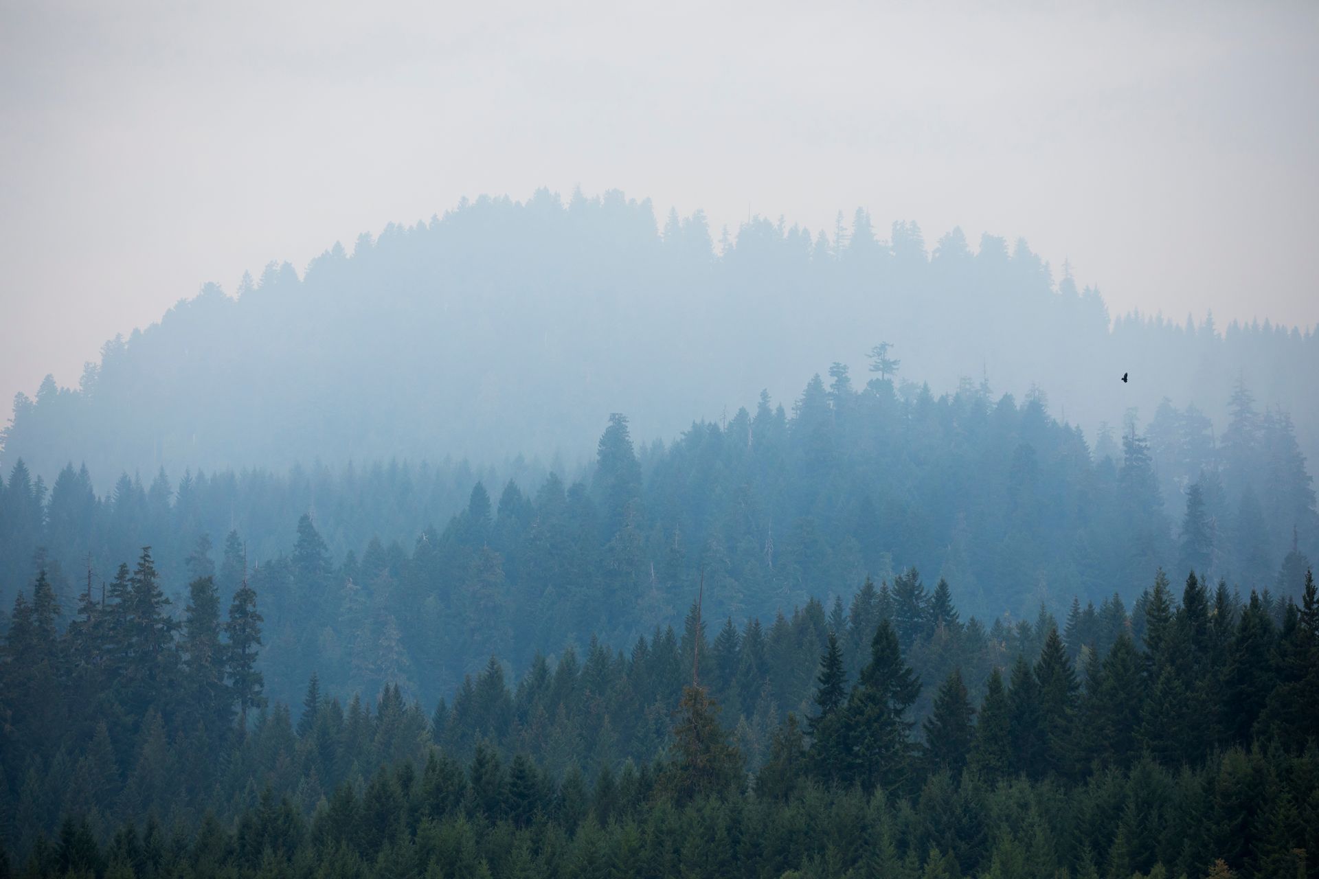 wildfire smoke impact on roof
