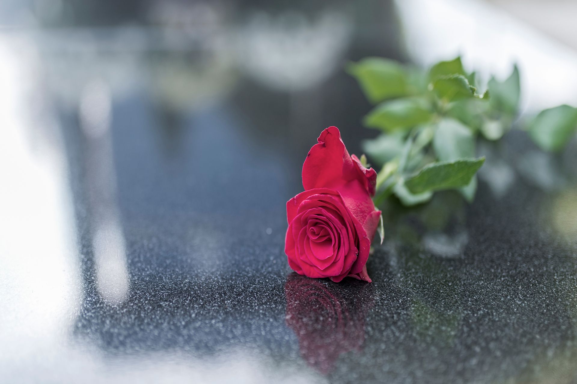 Grief Resources