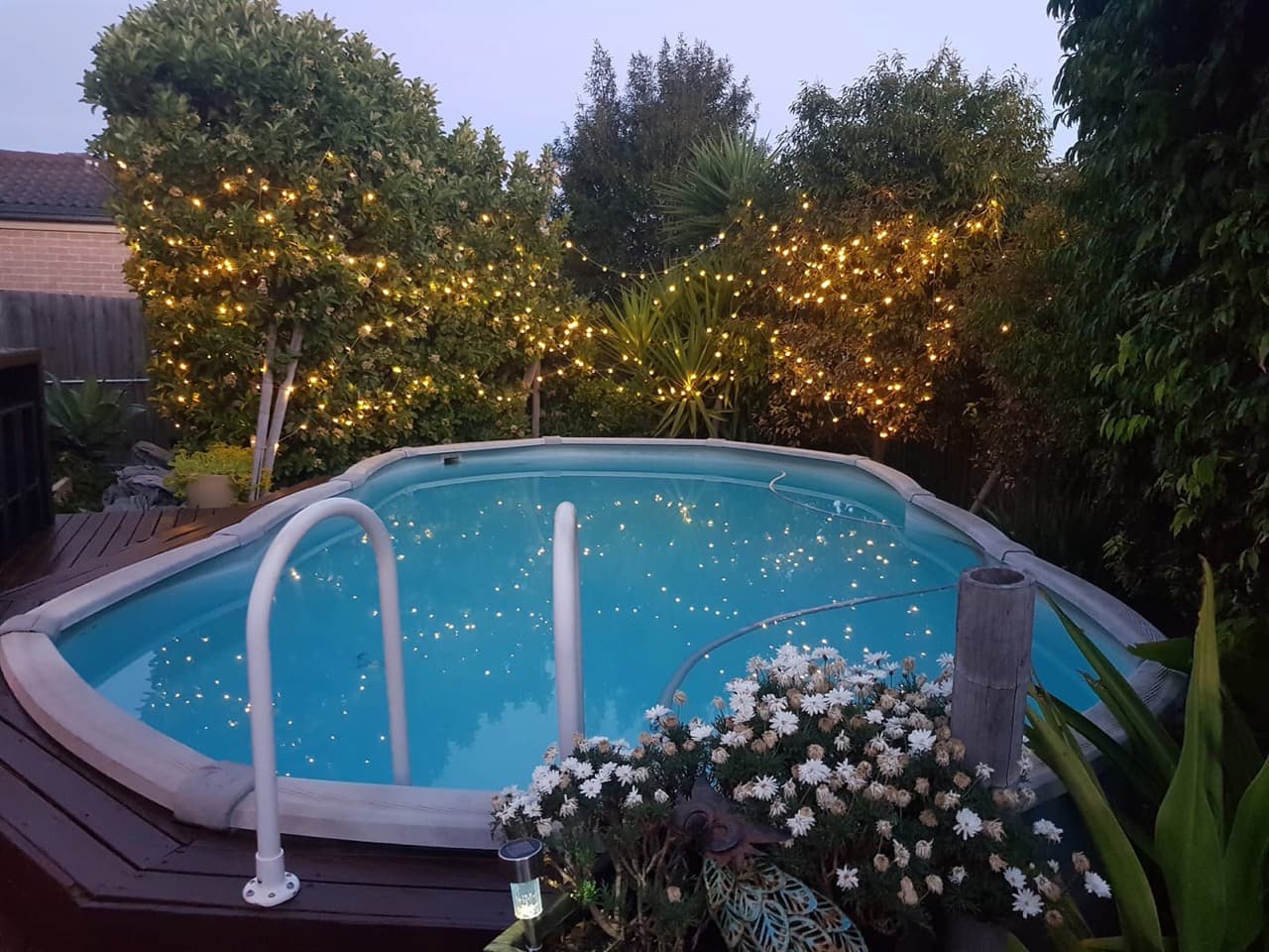 Pool With Fairy Lights Surrounding In Trees — Pool Installation in Leppington, NSW