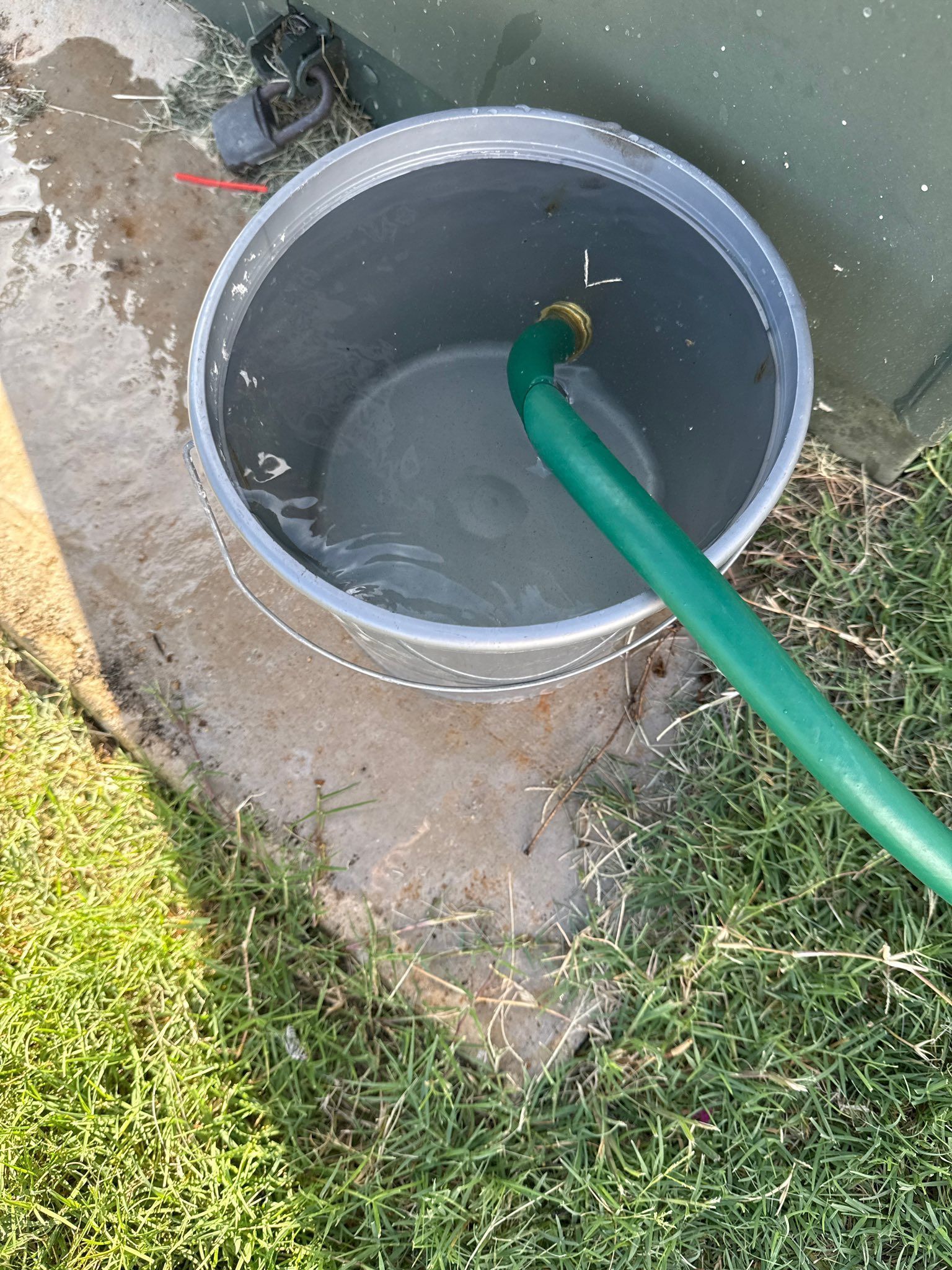 Green hose filling a gray plastic bucket in a grassy outdoor area