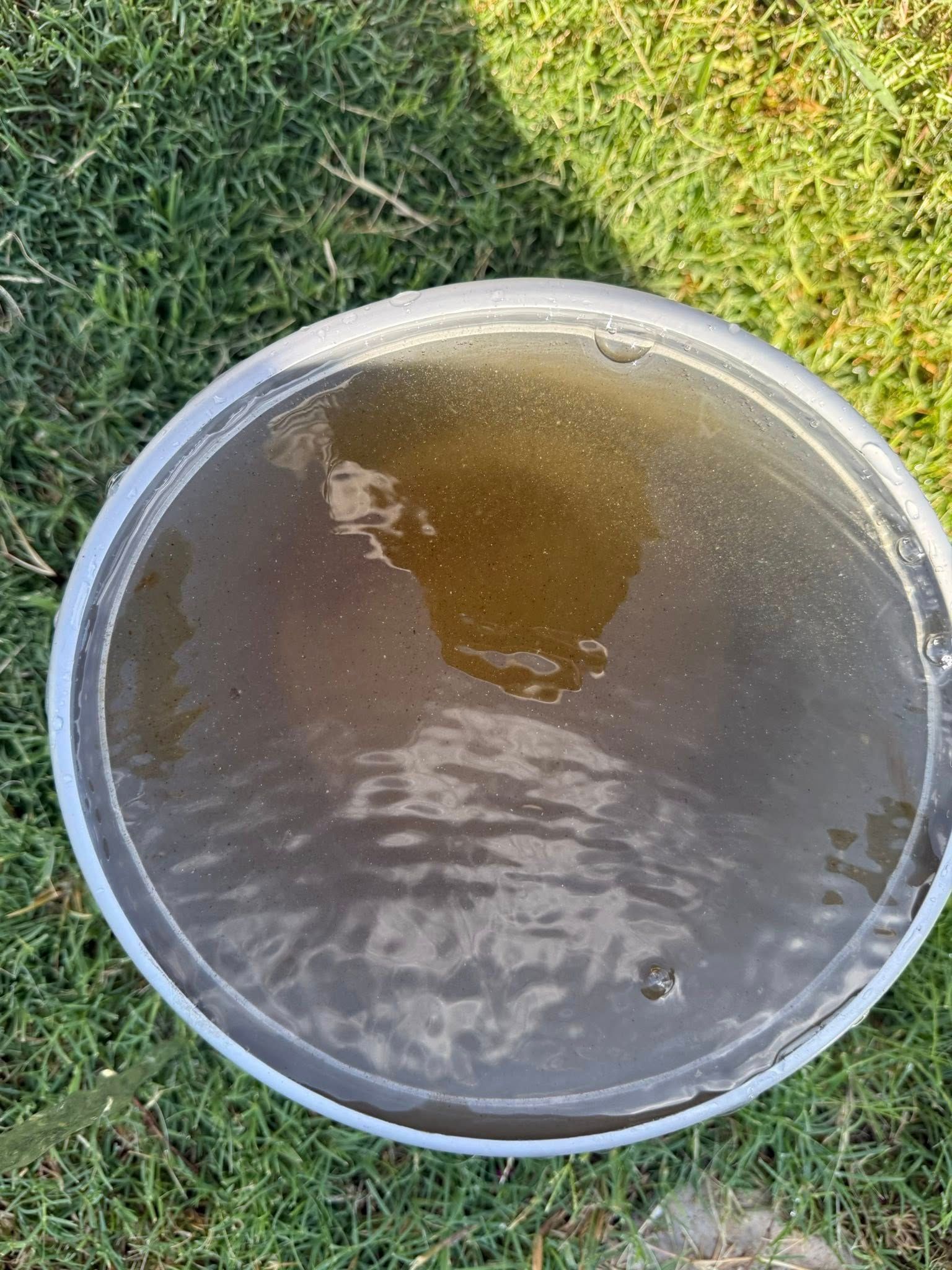Round metal basin filled with murky water on grass outdoors