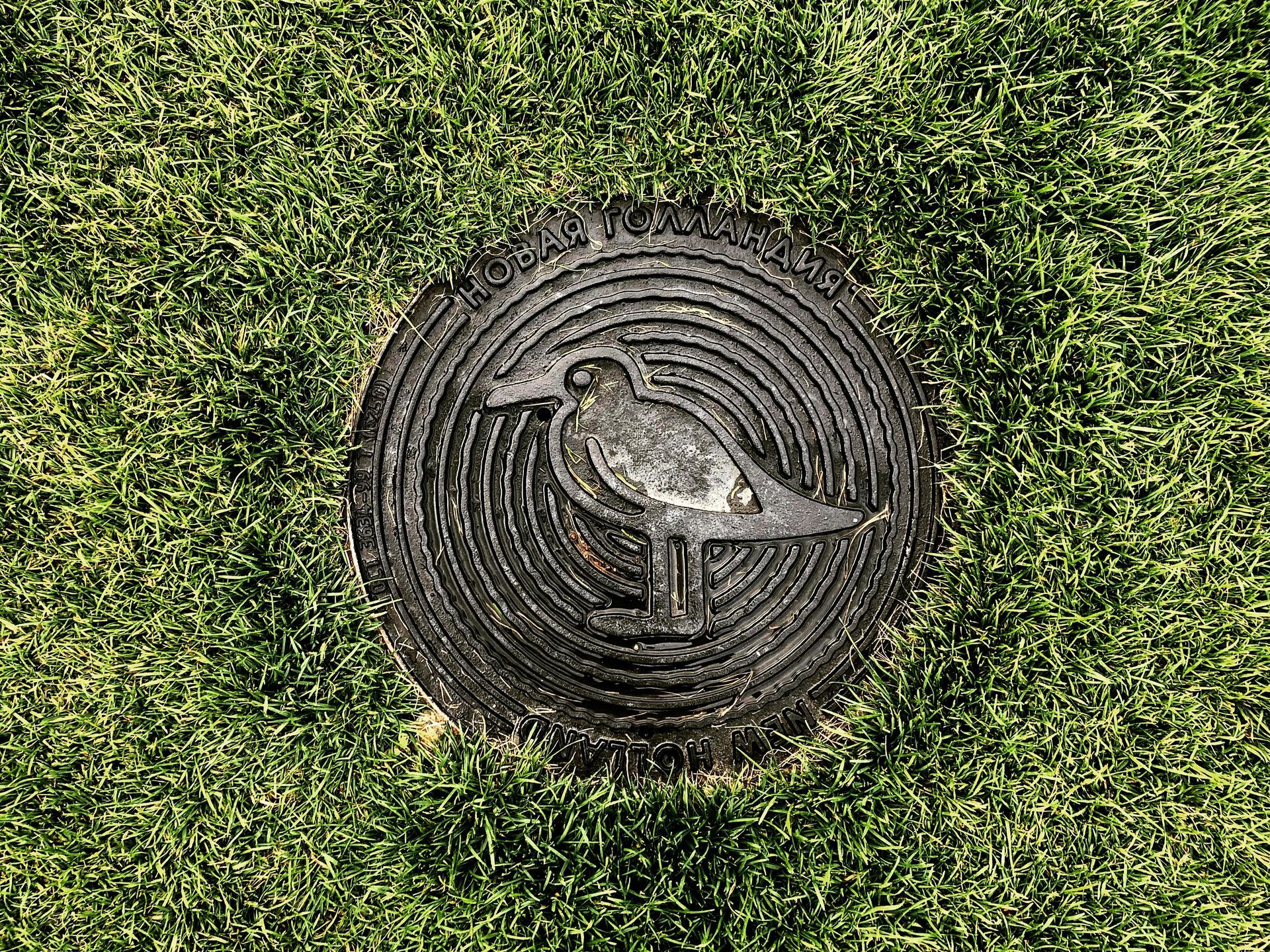 Bird perched on a circular metal drain cover in green grass.