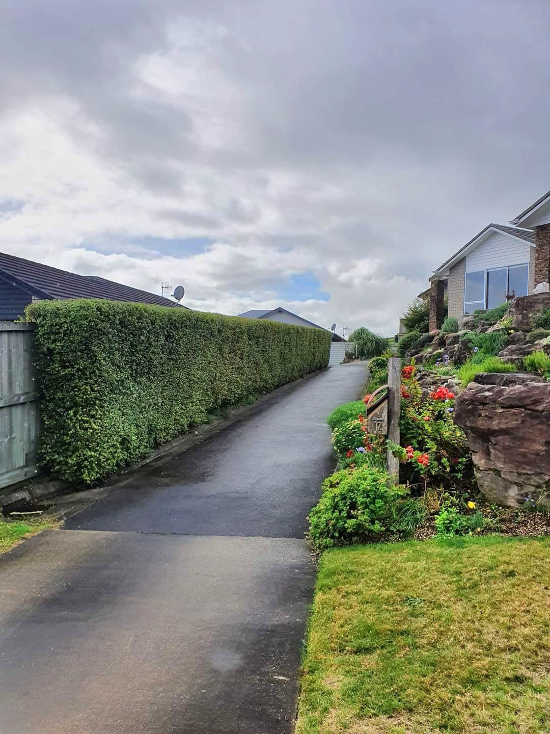 Groomed hedge line