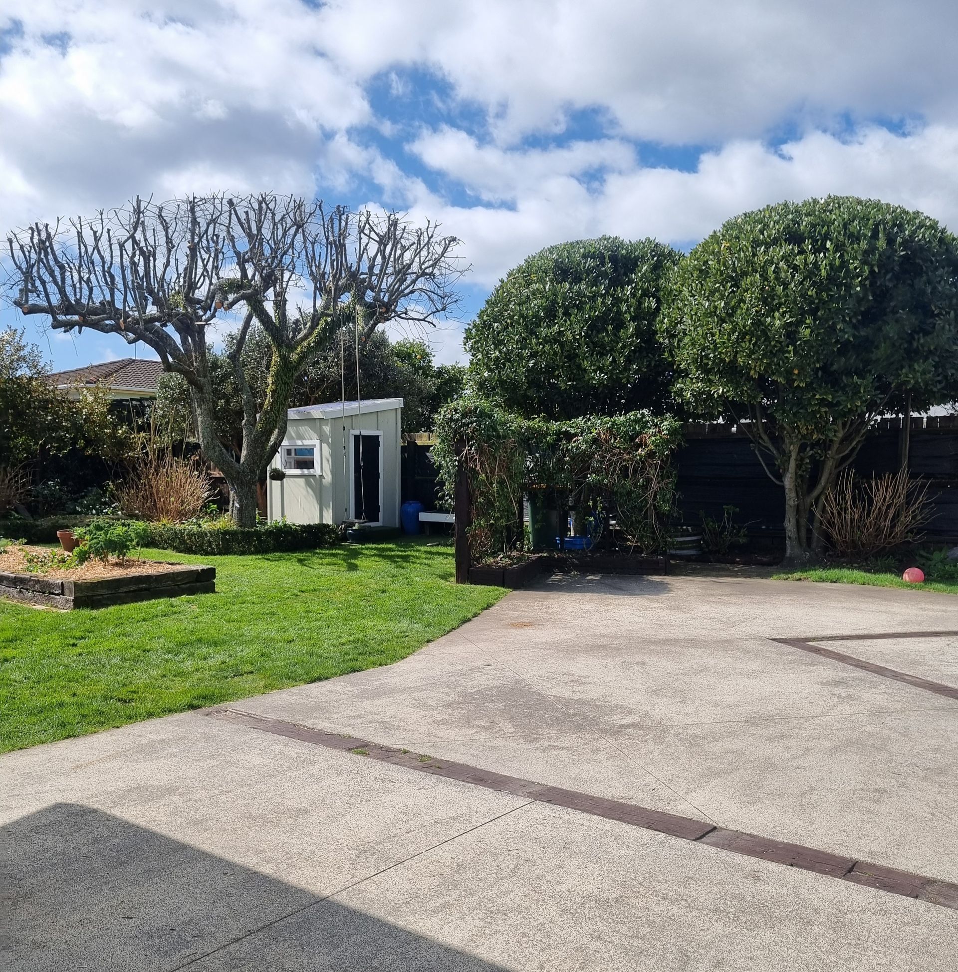 Fruit tree pruning Rotorua