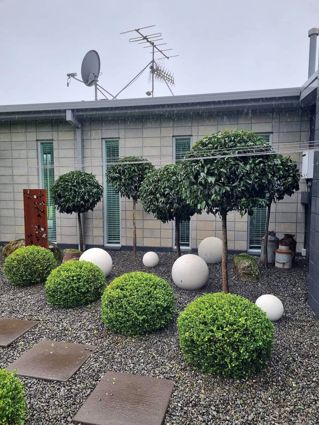 Rotorua hedge landscaper