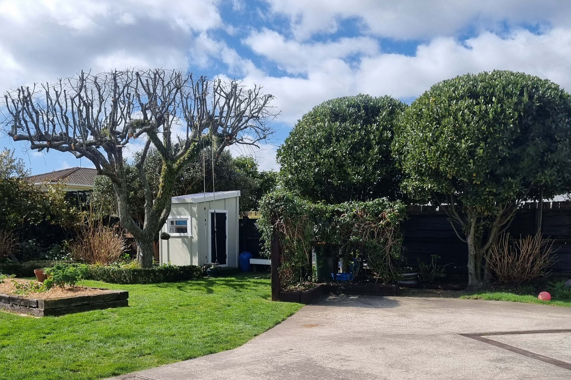 Pruned tree