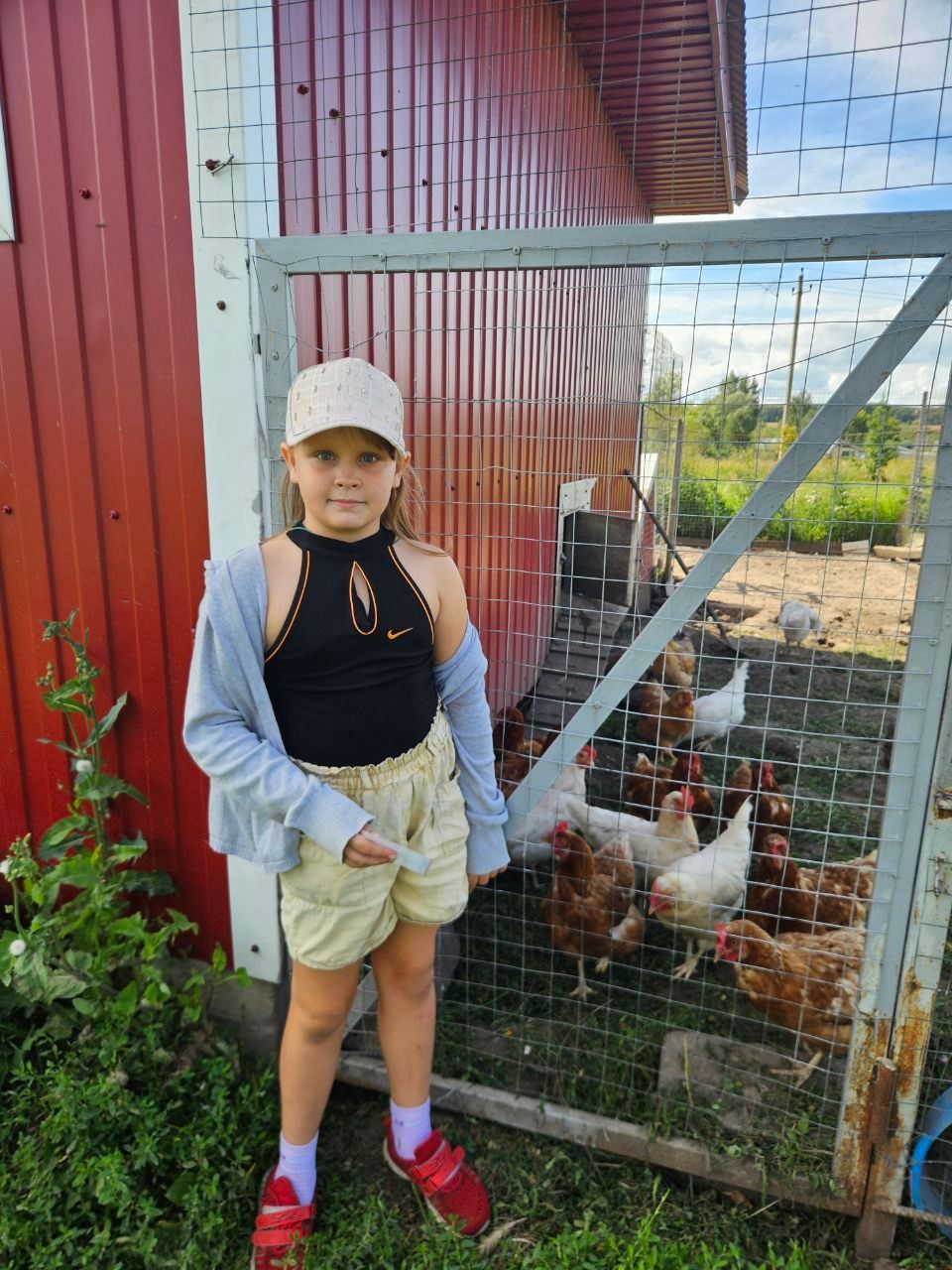 Child standing by a chicken coop with chickens behind a wire fence