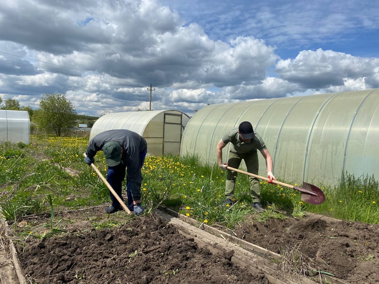 Two people digging soil in a greenhouse garden under a cloudy sky