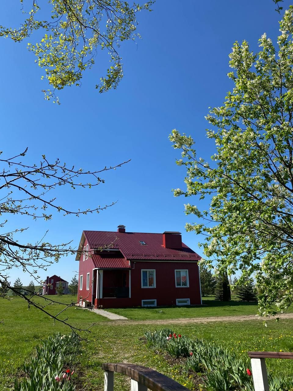 Red cottage with a red roof in a sunny green field under a clear blue sky