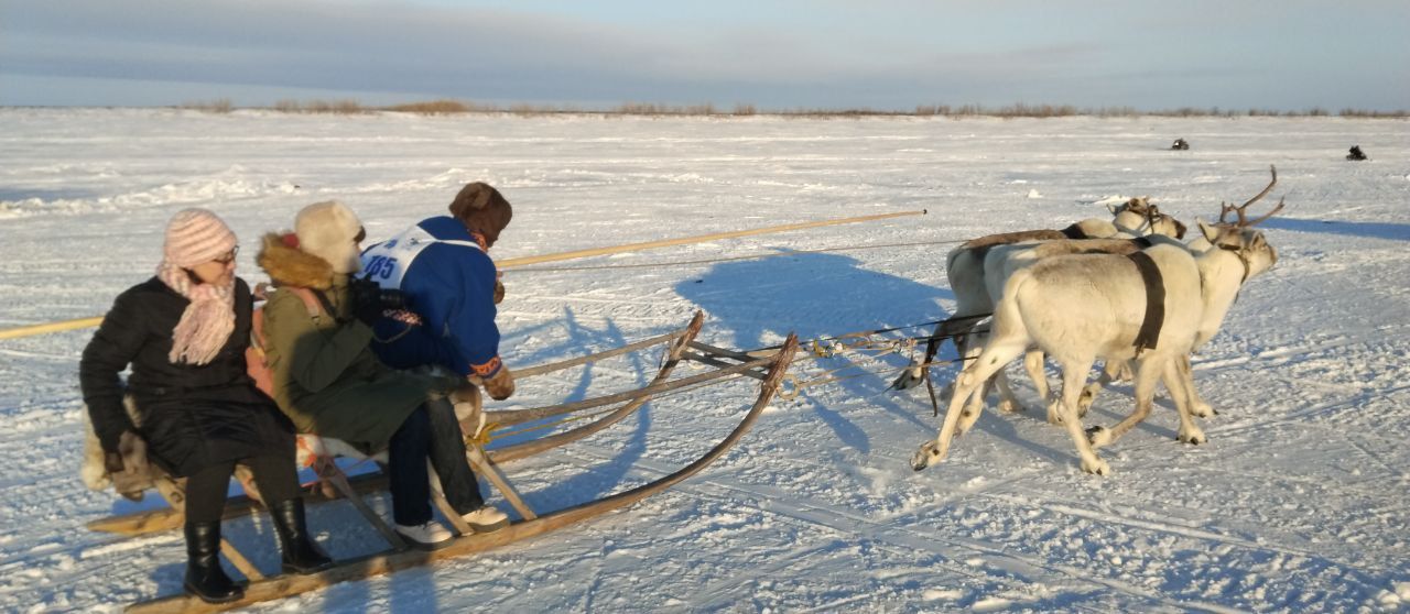 Two people in winter gear ride a sled dog team across a snowy field