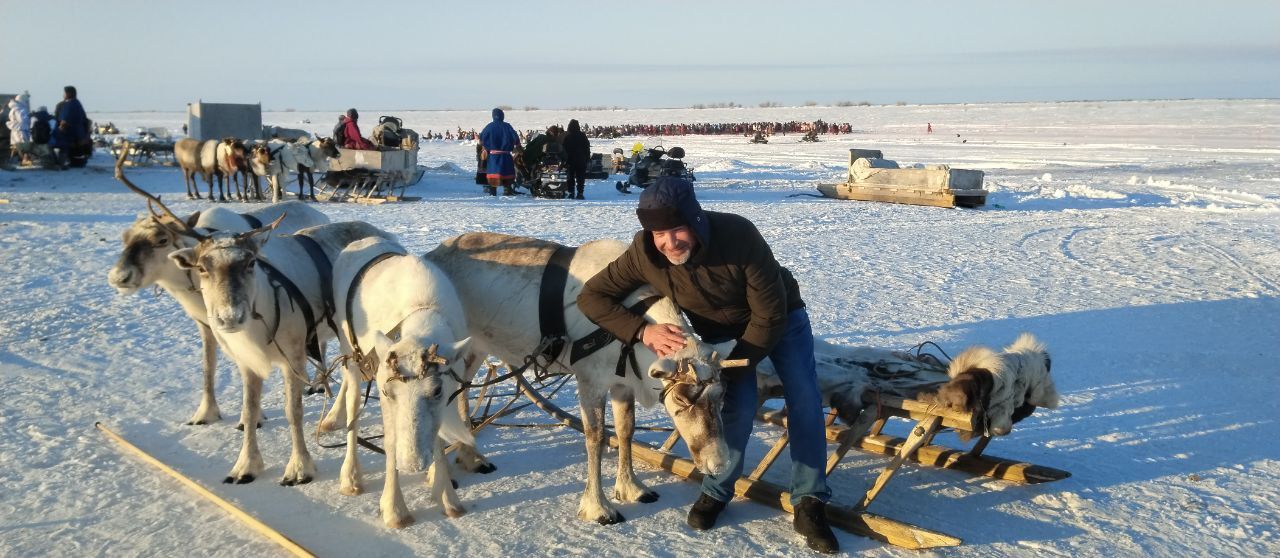 Dog sled team on snowy tundra, with a musher riding a sled in bright winter sunlight.