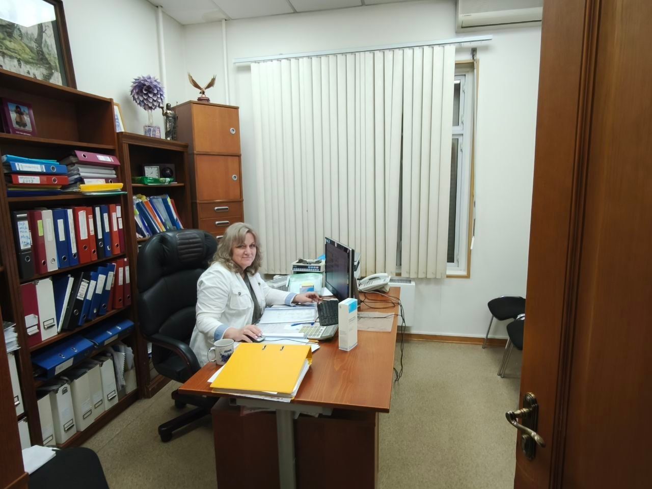 Office scene with a person seated at a desk, surrounded by files, bookshelves, and vertical blinds.