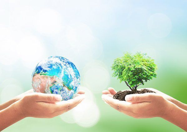 Due mani che sorreggono un mappamondo e un piccolo albero, a simboleggiare la cura dell'ambiente e la sostenibilità.
