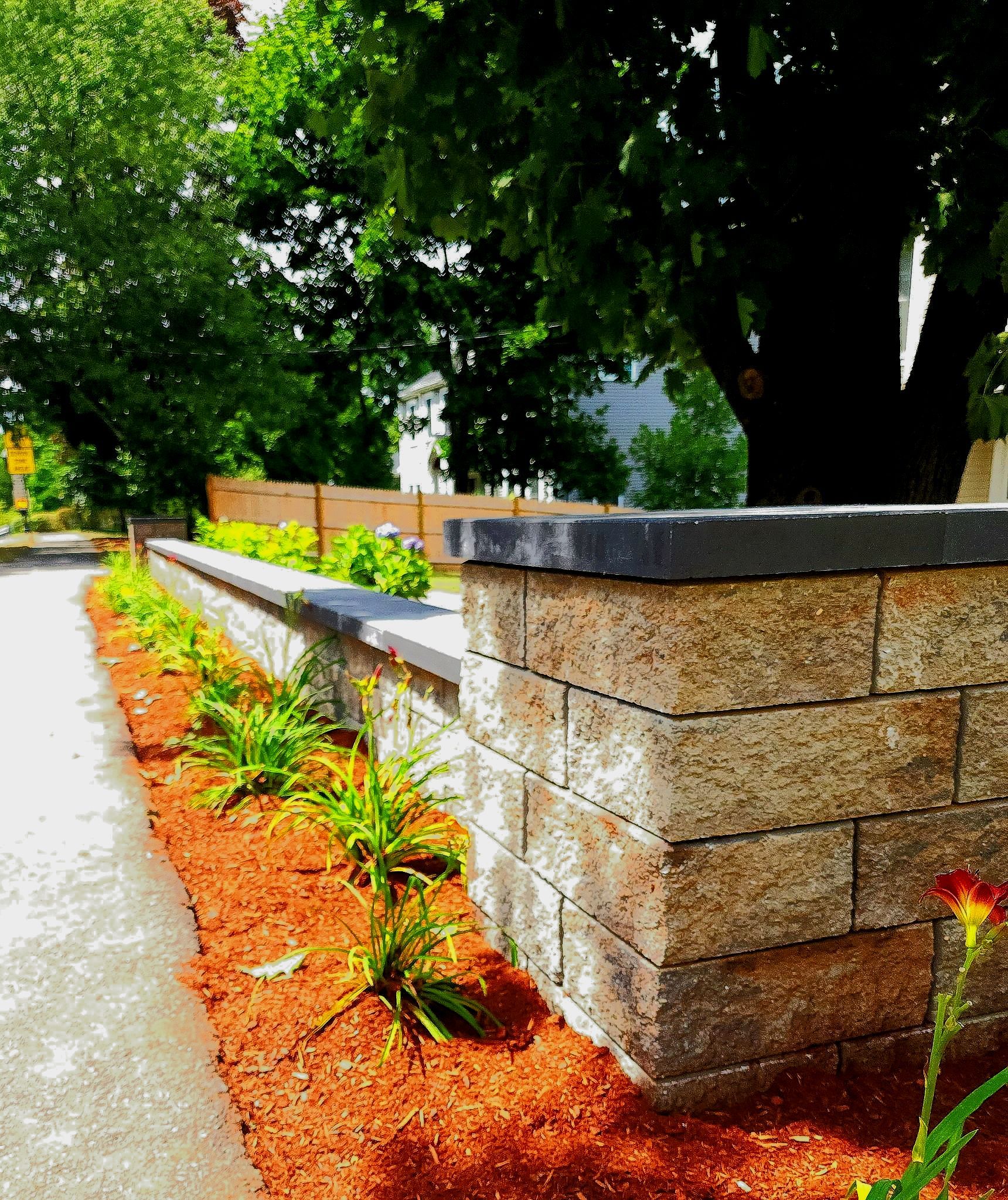Retaining block wall with plants, hemlock mulch, walkway, and trees in a sunny outdoor setting.