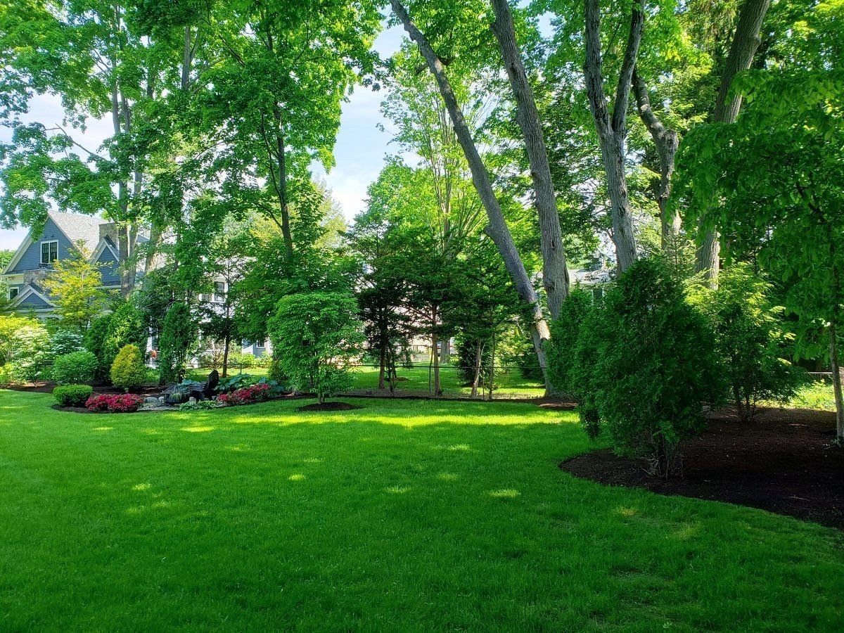 Lawn mowing, mulch installation, shrub pruning, tree pruning, full season maintenance in Lexington, MA.