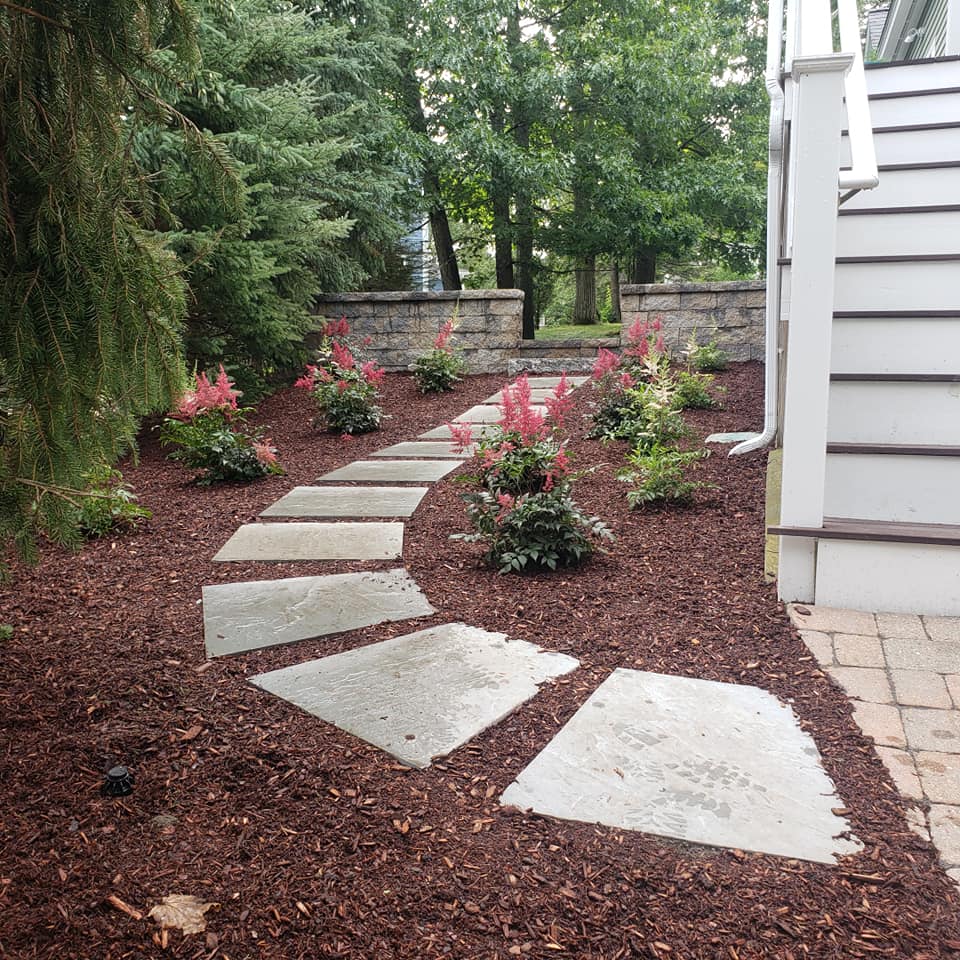 Stepping stone path through a landscaped garden with hemlock mulch and flowering shrubs. A building is on the right.