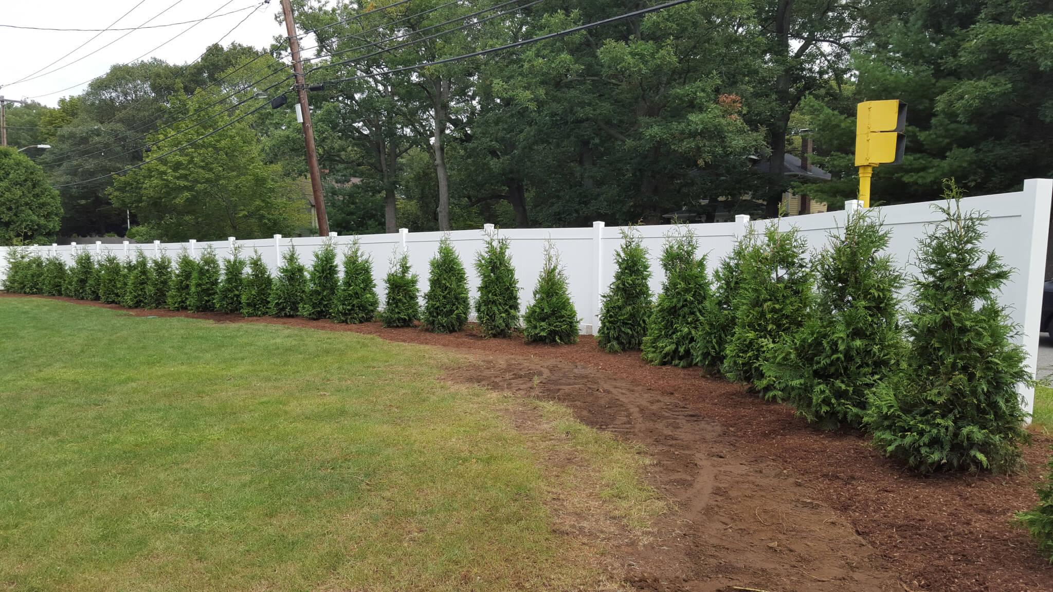 Landscaping after photo