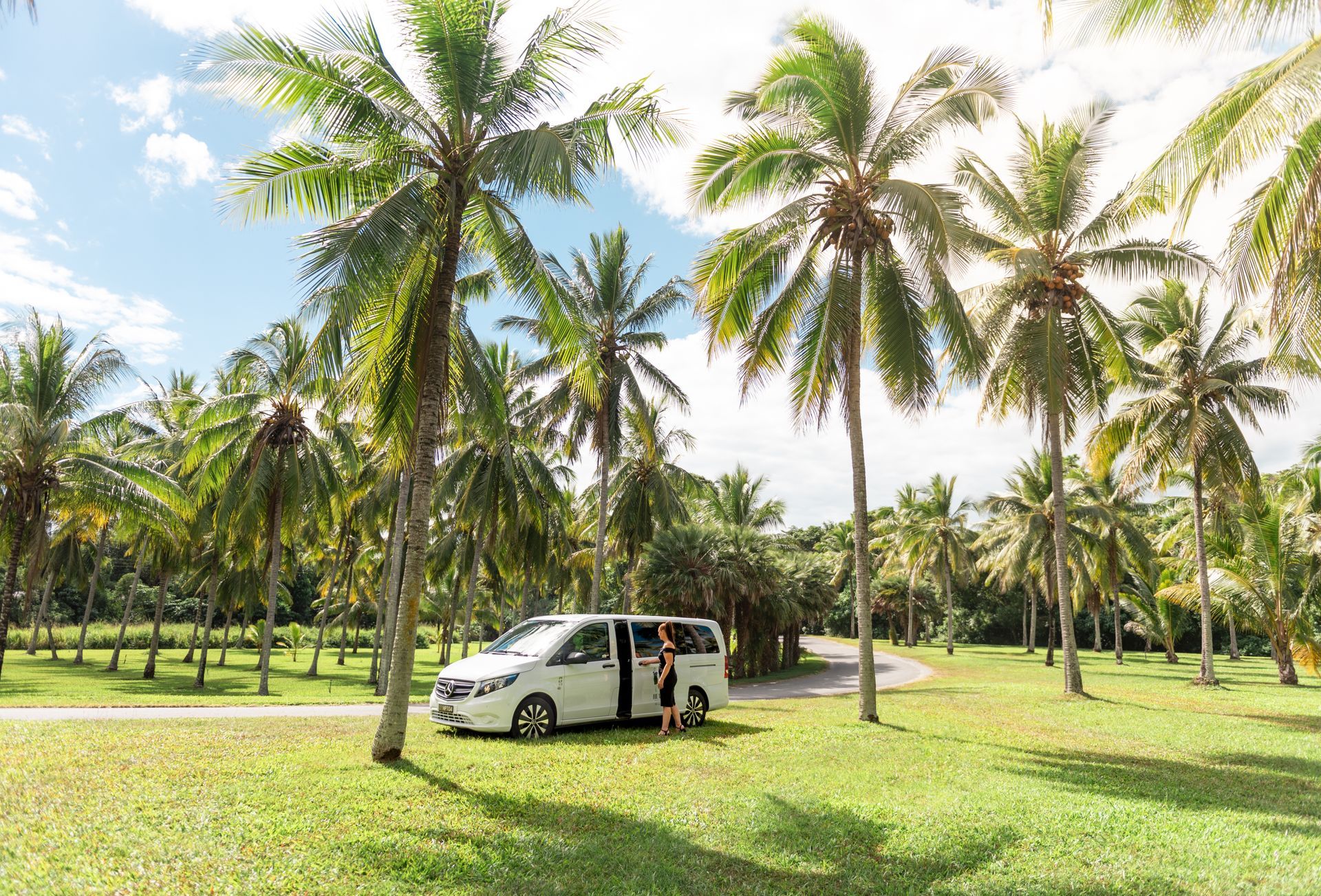 Heather's Private Transfers & Tours luxury Mercedes Van at Thala Beach Nature Reserve Port Douglas