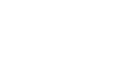 The Paddock Sim Racing logo