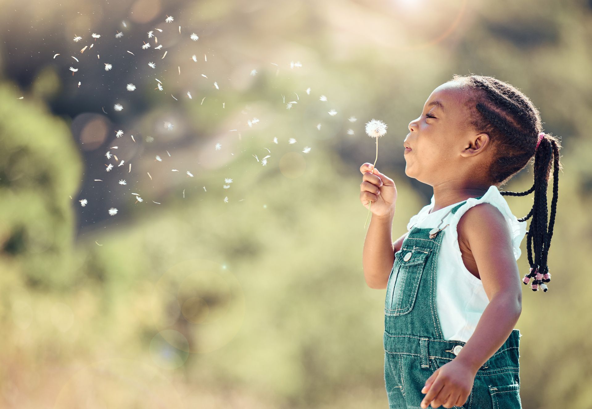 A girl is blowing dandelion seeds in the wind