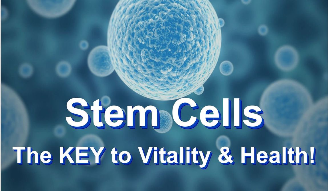 Stem Cell image