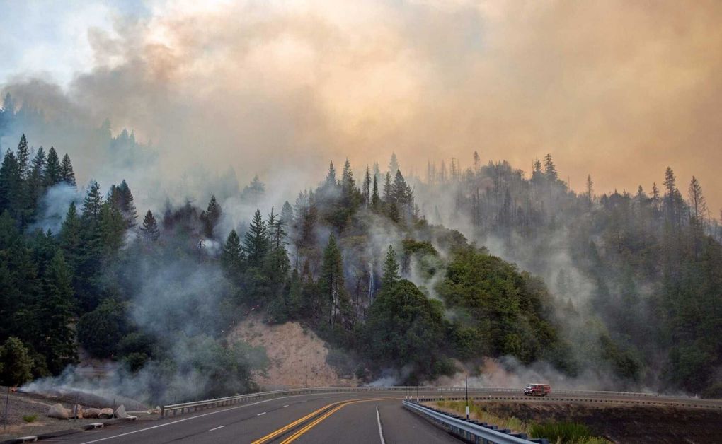 A highway in California surrounded by trees and forest on fire