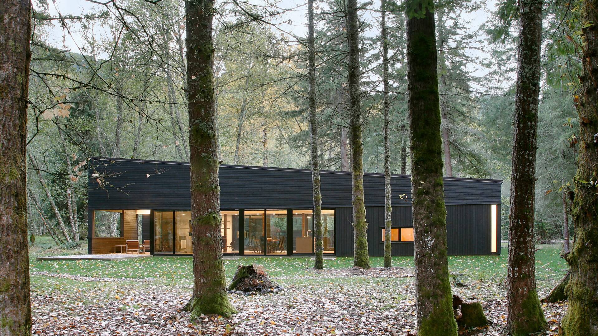Black modern cabin nestled in a forest, with large windows and a grassy lawn.