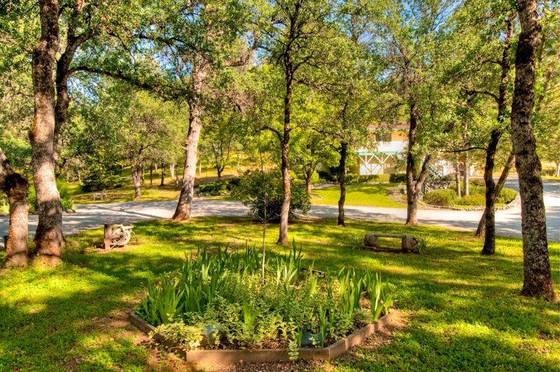 beautiful driveway with trees and plants and green grass