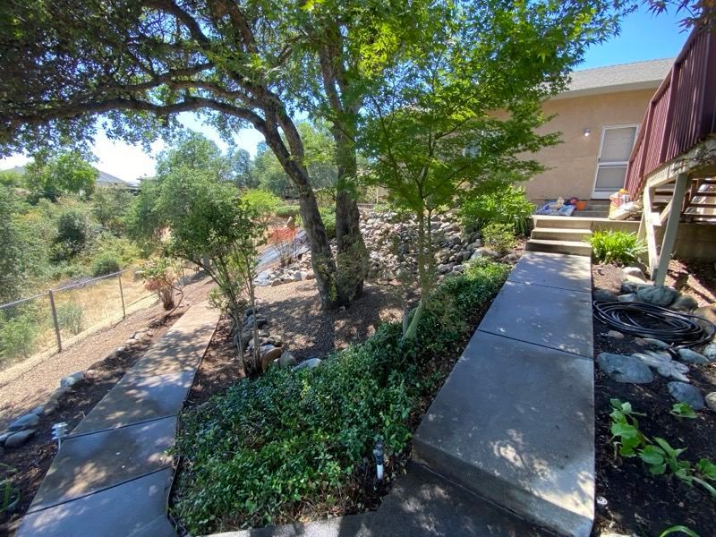 Concrete pathway through a backyard garden, leading to a house with a deck. Green foliage and trees.