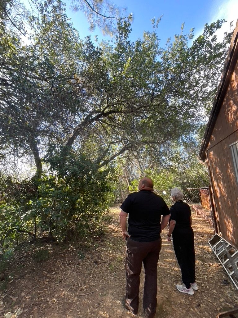 two people looking at their backyard with lots of brush