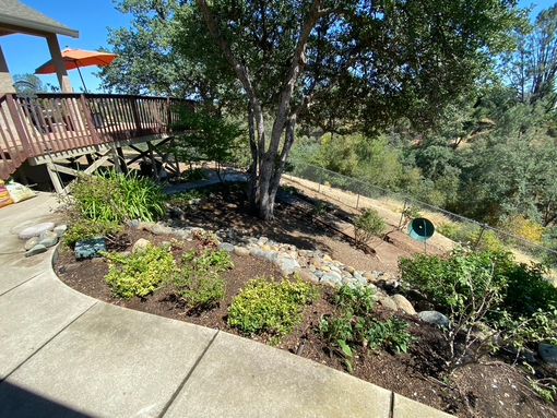 A house with defensible space around the yard
