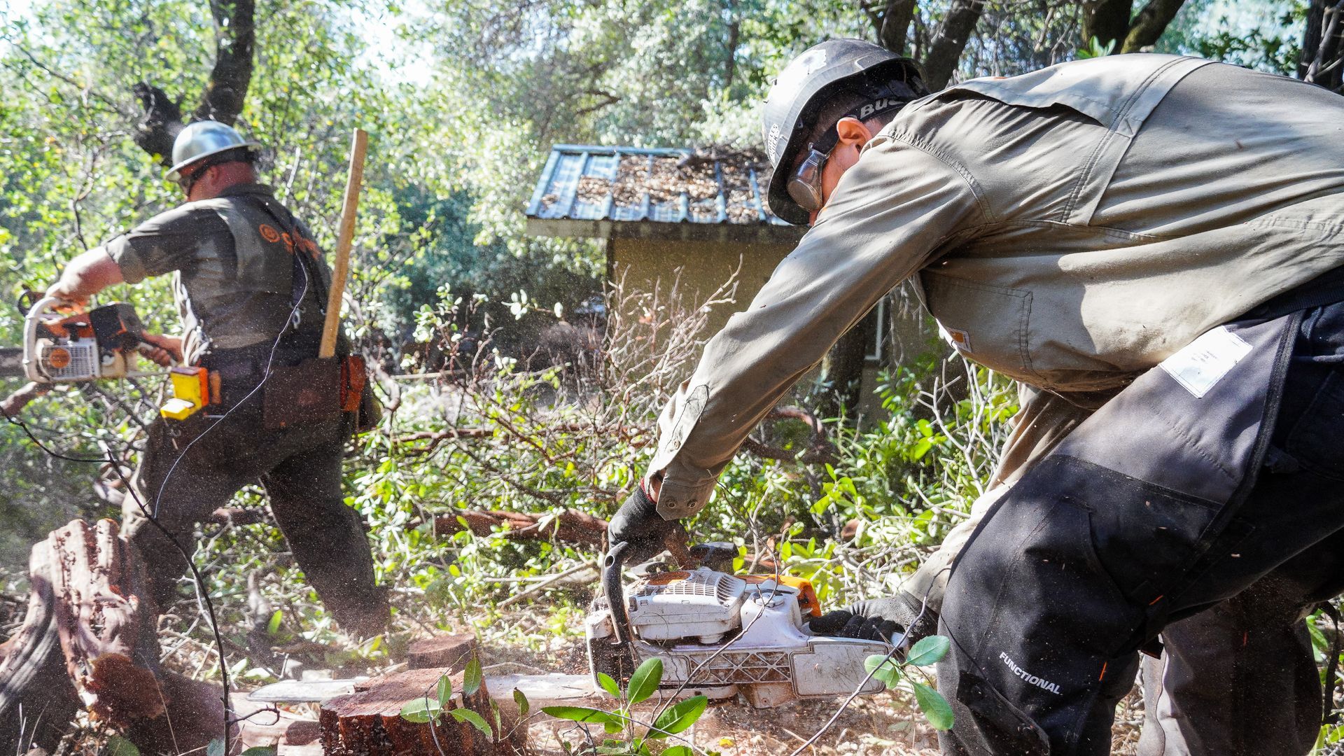 Grind fire Defense clearing defensible space