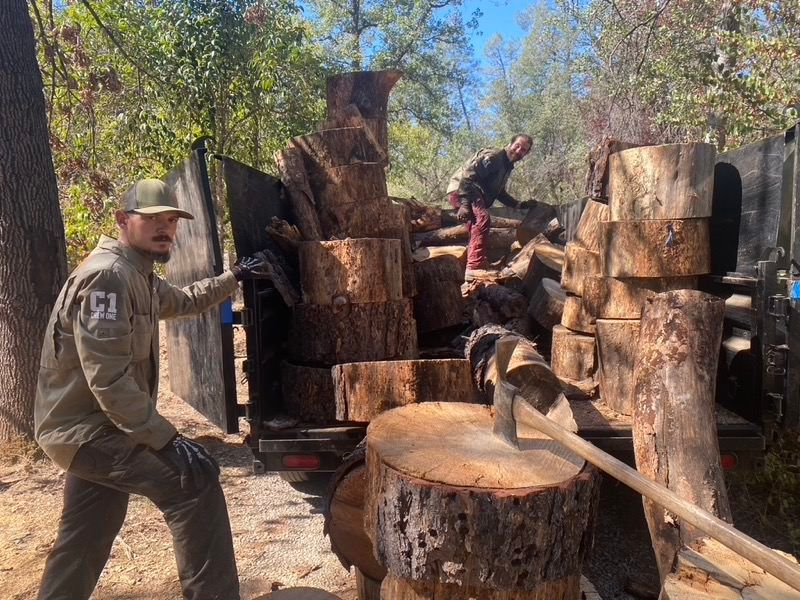 Reducing fuel for defensible space