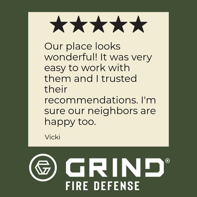 Customer review: 